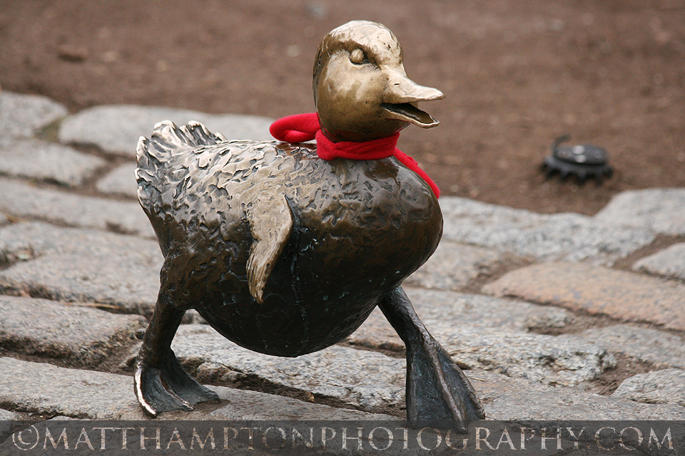 Bronze Duckling Statue; Boston Common