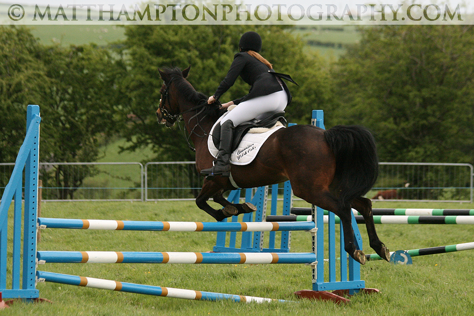 Show Jumping
