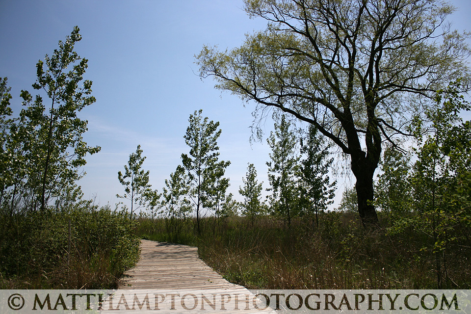 Boardwalk to the naturlist beach